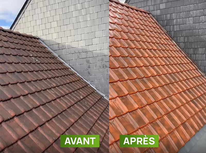 Nettoyage et peinture hydrofuge toiture -  PROBIORENOV artisan couvreur toiturier en Belgique : Région Flamande, Wallonne et Bruxelles ... Namur, Flandre, Wallonnie, Bruxelles, Liège .... nettoyage, démoussage, traitement anti-mousse toiture. peinture hydrofuge toiture.  intervention en BELGIQUE : région Flamande, Wallonne et Bruxelles, Namur, Liège …. PROBIORENOV : entreprise de couverture en Belgique