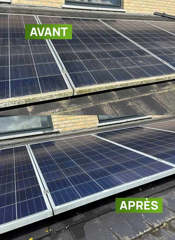 Nettoyage et peinture hydrofuge toiture -  PROBIORENOV artisan couvreur toiturier en Belgique : Région Flamande, Wallonne et Bruxelles ... Namur, Flandre, Wallonnie, Bruxelles, Liège .... nettoyage, démoussage, traitement anti-mousse toiture. peinture hydrofuge toiture.  intervention en BELGIQUE : région Flamande, Wallonne et Bruxelles, Namur, Liège …. PROBIORENOV : entreprise de couverture en Belgique